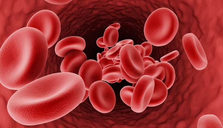 fiddleheads,health benefits of fiddleheads,helthy food fiddleheads,fiddleheads health benefits,Health,Health tips