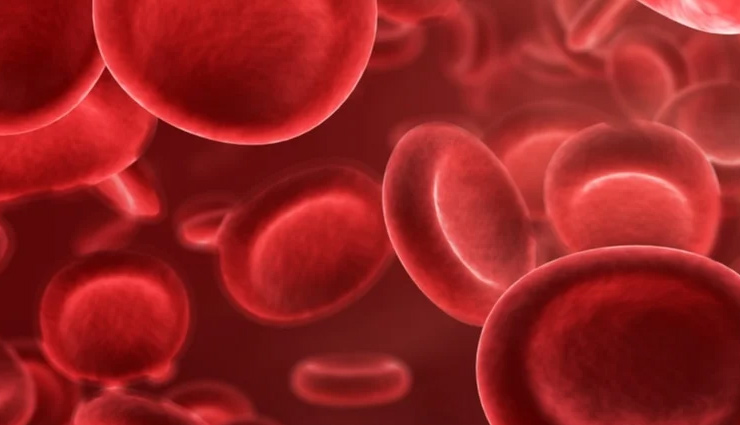 World Blood Donor Day 2022: मोटापा और कैंसर जैसी बीमारियां रहती है दूर, रक्तदान करने से शरीर को होते है कई फायदे world blood donor day 2022,blood donation,blood donation benefits,Health,health news,healthy living