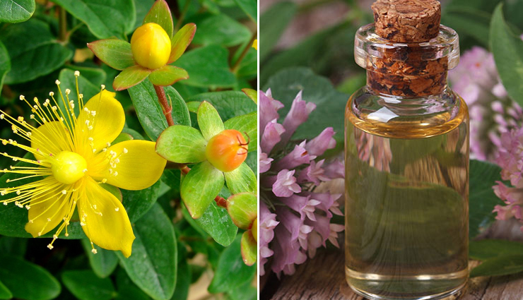 natural remedies for breast cancer symptoms,herbal remedies for breast cancer,breast cancer symptom relief,home remedies for breast cancer,alternative remedies for breast cancer,complementary therapies for breast cancer,non-medical treatments for breast cancer,breast cancer pain relief remedies,holistic remedies for breast cancer,integrative remedies for breast cancer symptoms,mind-body therapies for breast cancer symptoms