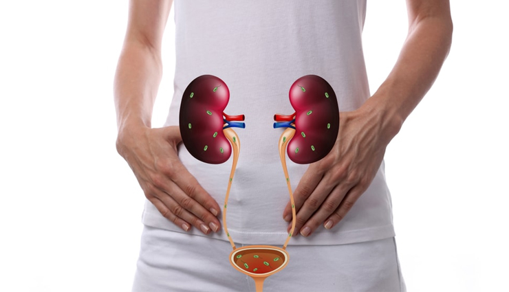 red radish,health benefits of red radish,Health tips,fitness tips