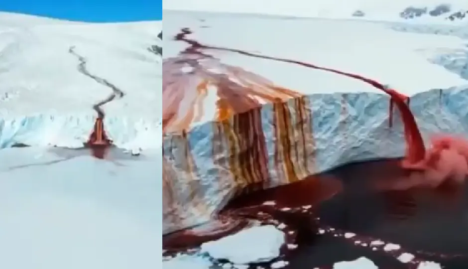 ग्लेशियर के बीच बहती खून की नदी? वायरल VIDEO की सच्चाई जानकर रह जाएंगे दंग