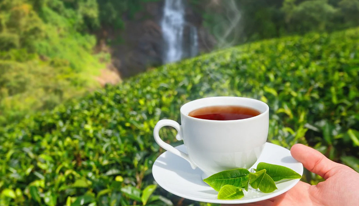 redness on face,home remedies for redness on face,herbal ways to treat redness on face,skin care tips,beauty tips