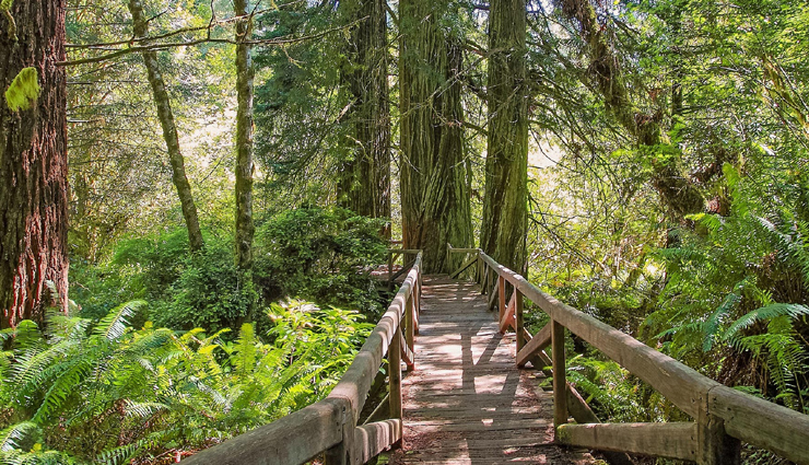 california,places to visit in california,california travel,tourist places in california,foreign destinations,travel,travel guide,holidays