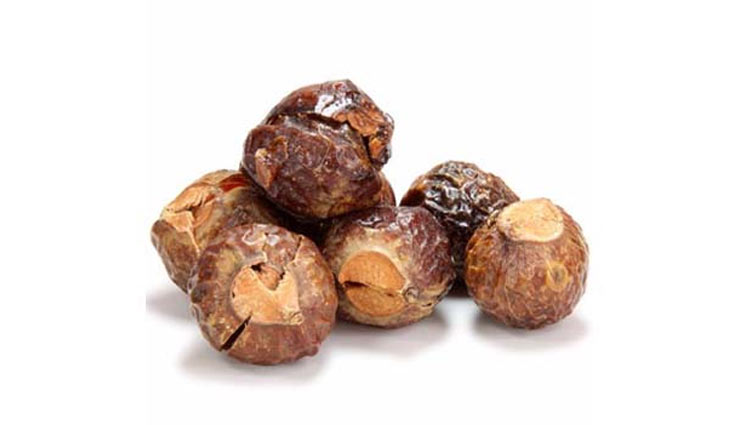5 Health Benefits of Reetha You Were Not Aware About