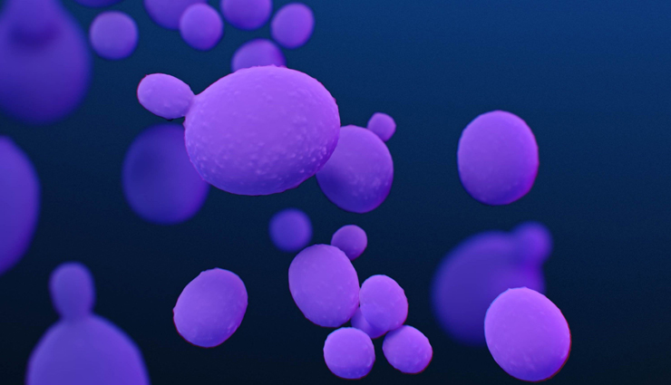 reetha,reetha for healthy hair,hair care tips,beauty benefits of reetha,beauty tips