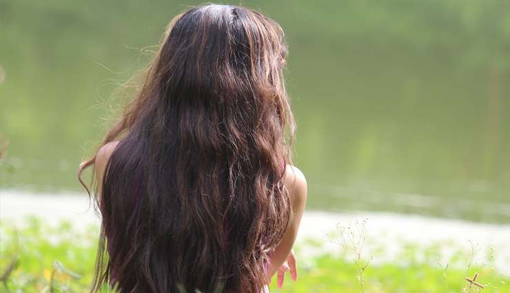 6 Herbs That Help in Rejuvenating Your Hair