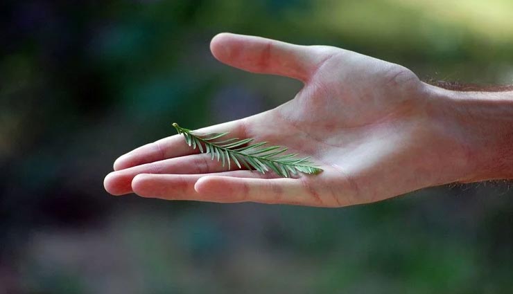 astrology tips,astrology tips in hindi,palmistry,rekha dosha