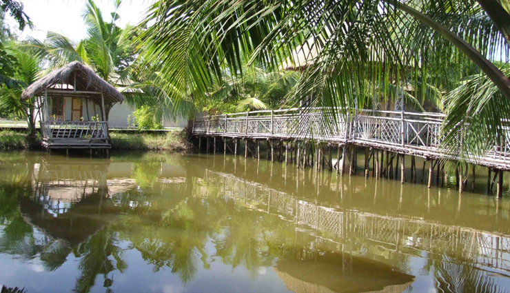 sunderban national park,sunderban tiger,sunderban forest,sunderban tiger reserve,sunderban animals,sunderban bengal,sunderban crocodile,sunderban from kolkata,sunderban forest in india,sunderban jungle tiger