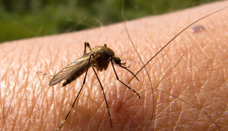 malaria,home remedies,Health tips,sawan health,sawan,sawan 2018