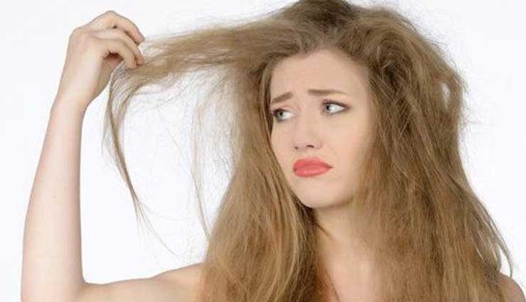 रूखे-बेजान बाल कम कर रहे हैं आपकी ख़ूबसूरती, इन घरेलू टिप्स से लाए उनमे जान