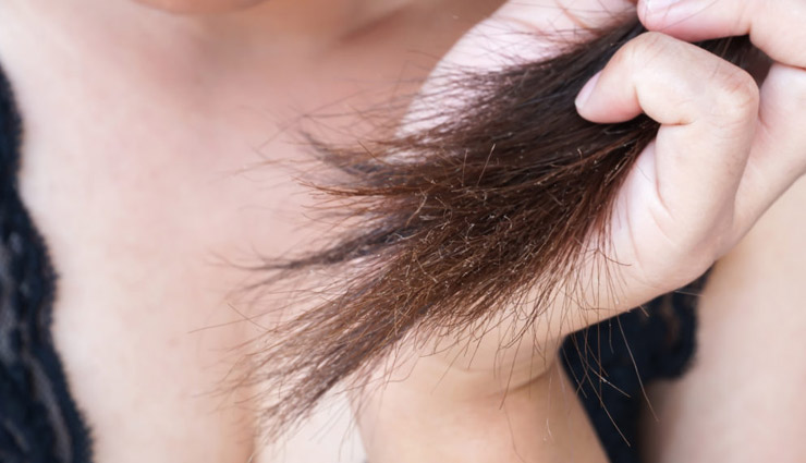 split ends,home remedies for split ends,hair care tips,beauty tips