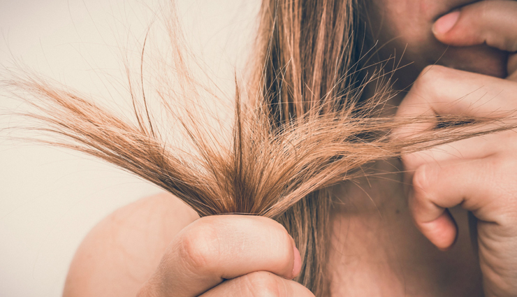 home remedies,home remedies to get rid of split ends,split ends,hair care tips,beauty tips