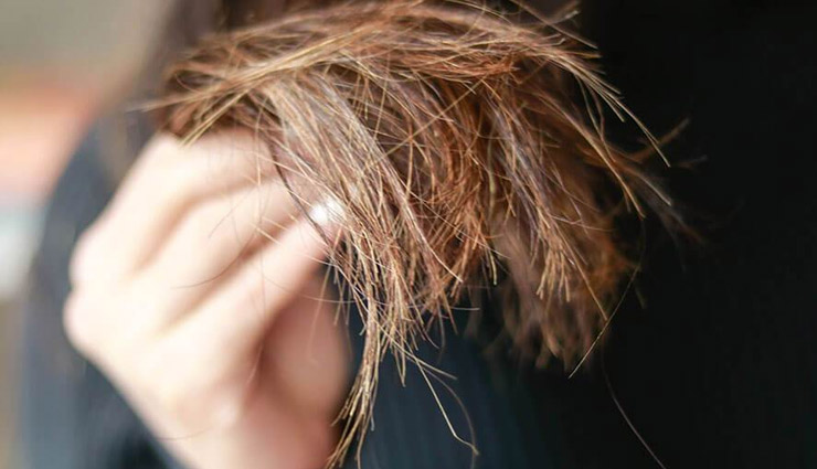 split ends,home remedies for split ends,hair care tips,beauty tips ,ब्यूटी टिप्स, ब्यूटी टिप्स हिंदी में, दोमुंहे बालों से छुटकारा, घरेलू उपाय, बालों की देखभाल 