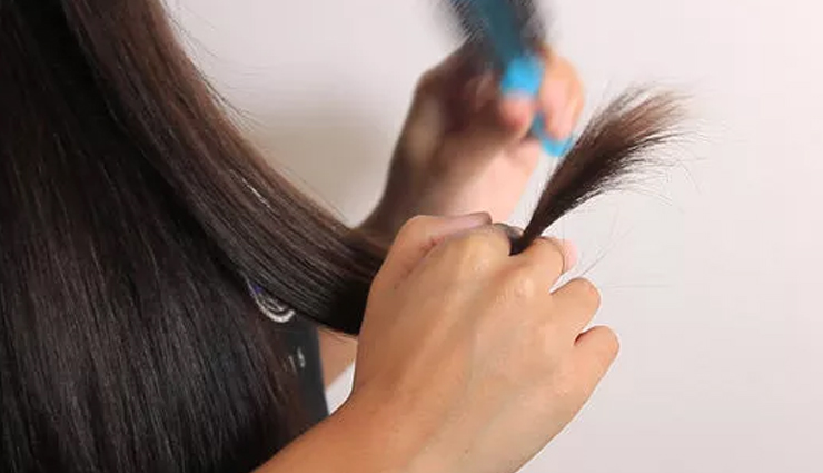 home remedies,home remedies to get rid of split ends,split ends,hair care tips,beauty tips