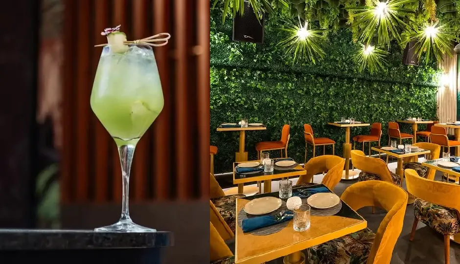 mouni roy restaurant,badmaash bengaluru,badmaash mumbai,avocado bhel price,jhalmuri rs 395,masala peanuts rs 300,mounilicious drink,indian restaurant india,mouni roy food business,jungle-themed restaurant,best indian snacks,celebrity restaurant india,mouni roy restaurants menu.