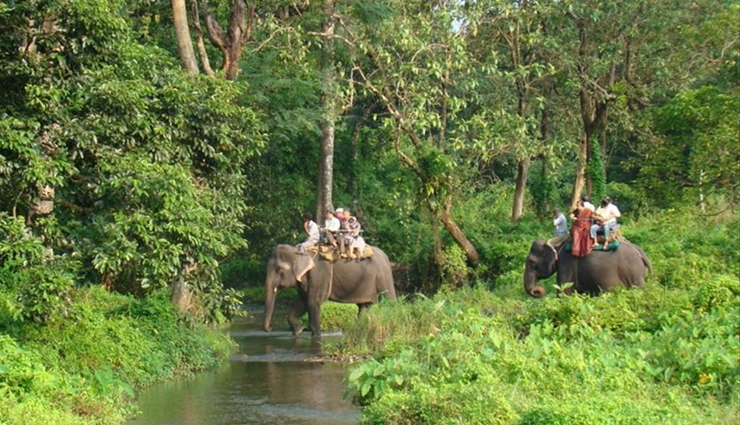 best places to visit in mashobra,top tourist spots in mashobra,mashobra travel guide,must-visit places in mashobra,romantic getaways in mashobra,adventure activities in mashobra,mashobra sightseeing,nature spots in mashobra,historical sites in mashobra,weekend trips to mashobra