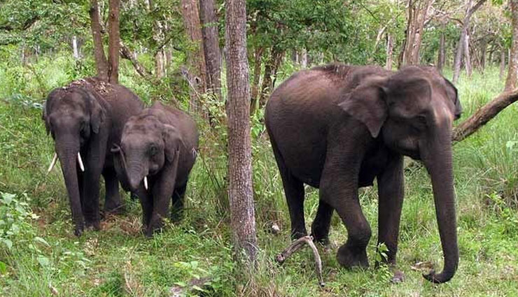 5 Restricted and Reserved Wildlife Areas of Tamil Nadu