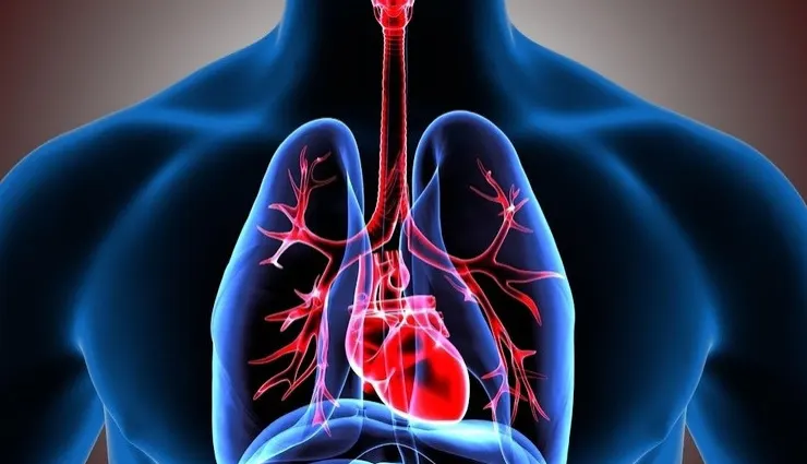 ajwain benefits,carom seeds uses,ajwain for digestion,health benefits of ajwain,ajwain water benefits,ajwain tea for health,ajwain for bloating,ajwain for acidity,ajwain for immunity,ajwain in ayurveda,ajwain for joint pain,ajwain for respiratory health,carom seeds medicinal properties,ajwain detox benefits