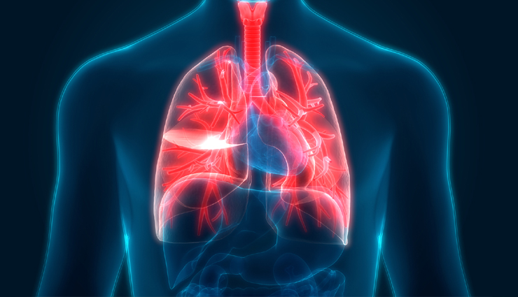 licorice root benefits,health benefits of licorice,licorice root uses,licorice root extract,licorice root in traditional medicine,licorice root for digestive health,skin benefits of licorice root,licorice root tea benefits,licorice root supplements,licorice root and respiratory health