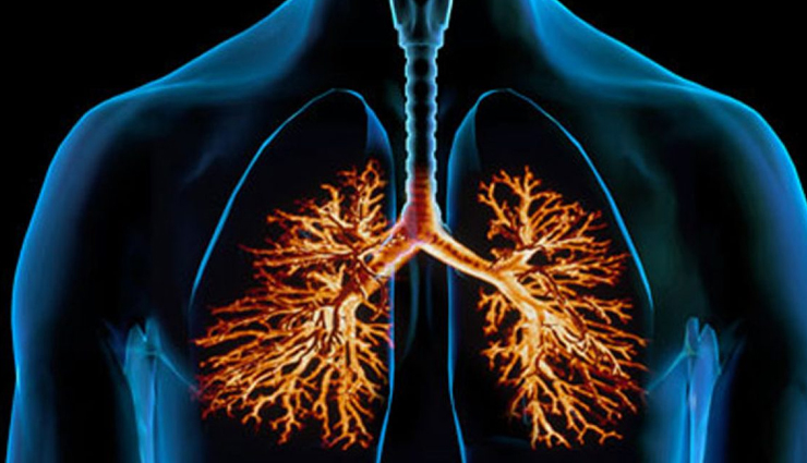 jaggery,jaggery health benefits,gur,gur health benefits,healthy food jaggery,eat jaggery in winters,Health,Health tips