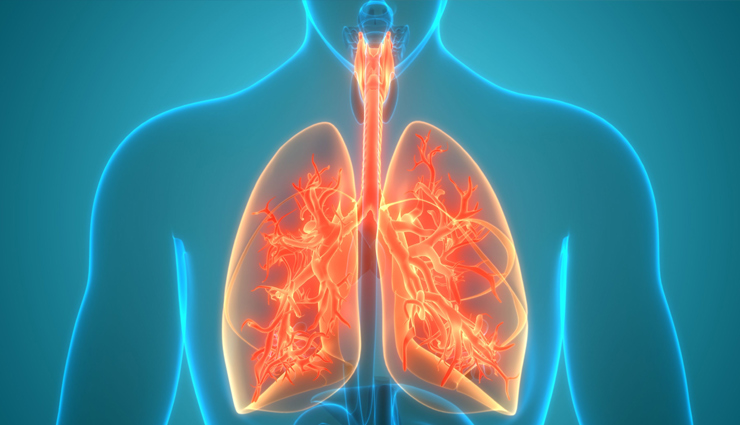 chervil benefits,culinary uses of chervil,chervil nutritional information,chervil health benefits,antioxidants in chervil,chervil and digestion,chervil and inflammation,chervil as a diuretic,chervil for skin health,chervil and improved circulation,chervil in french cuisine,how to use chervil in cooking,chervil tea,herb-infused oil with chervil,chervil garnish for dishes,chervil and respiratory health,chervil and pathogenic bacteria,chervil and mild stimulant effects,chervil and premenstrual bloating,chervil as a blood purifier,chervil varieties,chervil as french parsley,chervil nutritional content,chervil as a seasoning,chervil in french sauce béarnaise