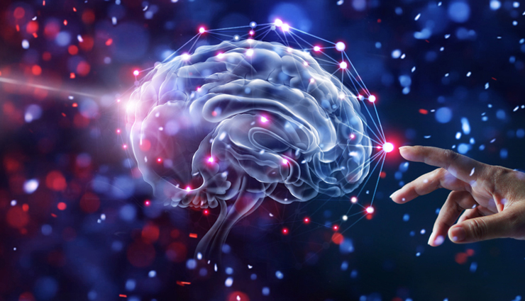 resveratrol supplements,health benefits of resveratrol supplements,Health tips,fitness tips