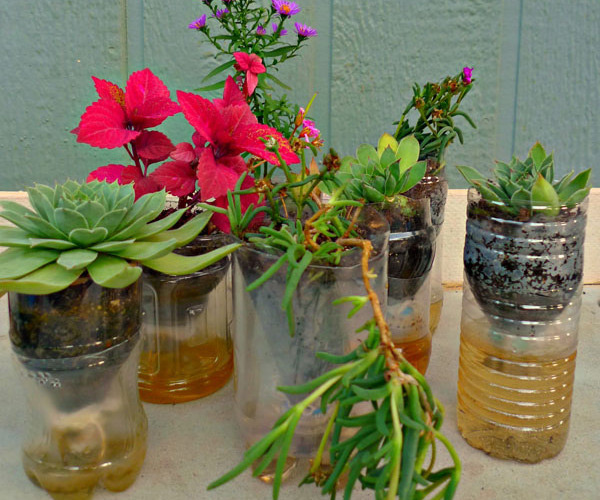 प्लास्टिक की ख़राब बोतलों से भी बनाई जा सकती है कमाल की चीजें, जानें और आजमाकर देखें reuse old plastic bottles,plastic bottles