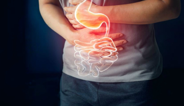 rhubarb,health benefits of rhubarb,Health tips,fitness tips