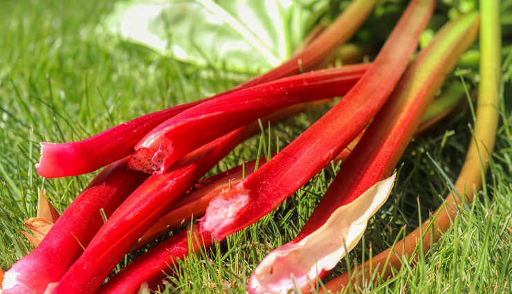 health benefits of rhubarb,rhubarb nutrition,rhubarb antioxidants,rhubarb digestive benefits,rhubarb for bone health,rhubarb vitamin k,rhubarb vitamin c,anti-inflammatory properties of rhubarb,liver protection rhubarb,rhubarb health advantages,rhubarb for heart health,rhubarb fiber content,rhubarb medicinal uses