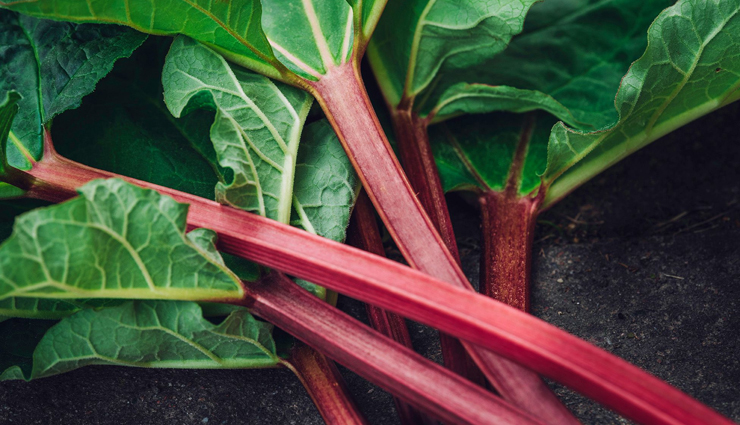 health benefits of rhubarb,rhubarb nutrition,rhubarb antioxidants,rhubarb digestive benefits,rhubarb for bone health,rhubarb vitamin k,rhubarb vitamin c,anti-inflammatory properties of rhubarb,liver protection rhubarb,rhubarb health advantages,rhubarb for heart health,rhubarb fiber content,rhubarb medicinal uses