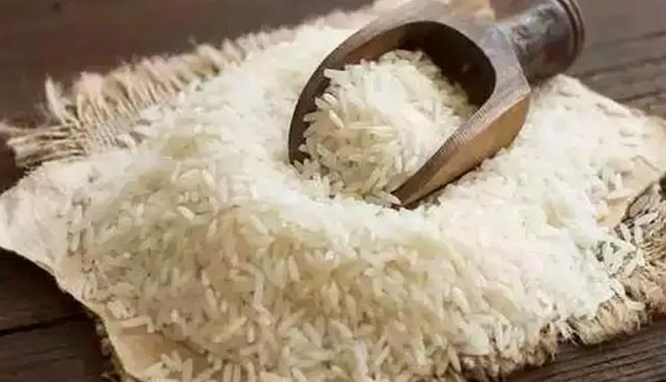 एकादशी के दिन की गई ये गलतियां पड़ सकती हैं खुशियों पर भारी astrology tips,astrology tips in hindi,putrada ekadashi 2021