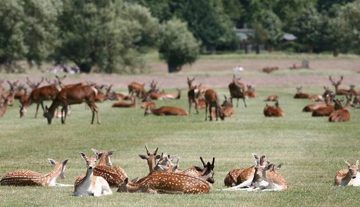 largest city parks in england,england biggest urban parks,urban green spaces in england,expansive city parks in the uk,green oases in english cities,england vast urban green areas,iconic city parks in england,recreational parks in english cities,england urban natural retreats,exploring city parks in england