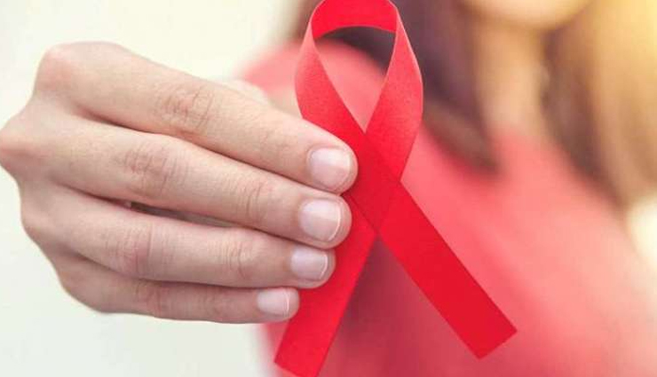 echinacea,echinacea health benefits,echinacea health tips,healthy food echinacea,echinacea good for health,echinacea healthy food,Health,Health tips