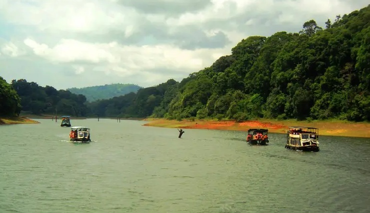 thekkady travel,thekkady tourism,places to visit in thekkady,kerala tourism,kumily travel,thekkady wildlife sanctuary,kerala hill stations,adventure in thekkady,nature tourism kerala,thekkady attractions