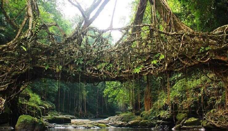 10 beautiful attractions dawki meghalaya,dawki travel guide,umngot river dawki,dawki suspension bridge,mawlynnong village,shnongpdeng activities,jaflong zero point,byrdaw falls,laitlum canyons,bophill falls,riwai living root bridge,dawki-tamabil border,dawki tourism,top places dawki,visiting dawki