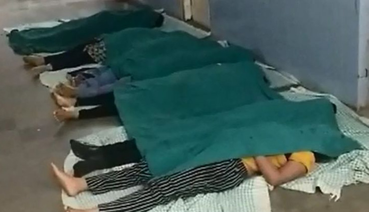 gujarat,vadodara,road accident,accident news