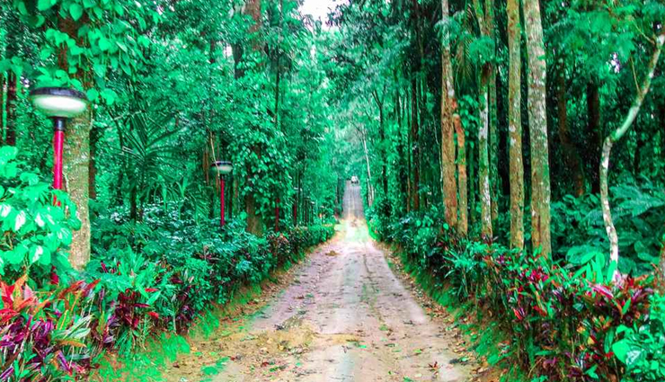 nandi hills,bheemeshwari,ooty,shivanasamudram falls,coorg,bangalore,road trips from bangalore