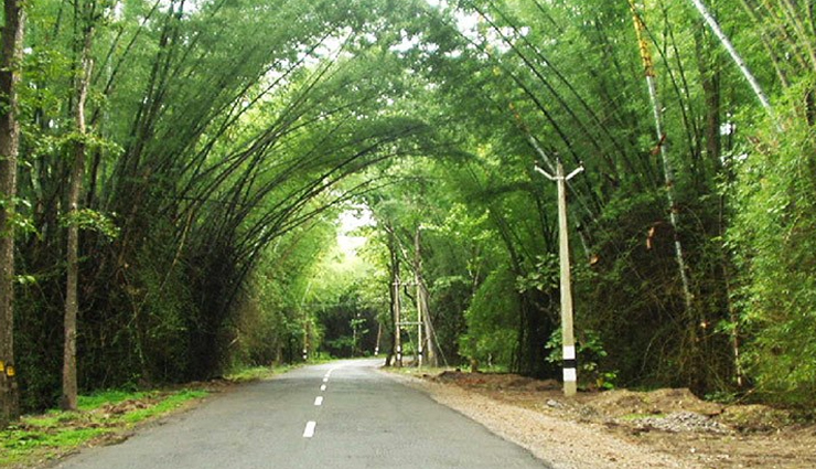 romantic road trips in india,road trips in india,manali to leh,shillong to cherrapunjee,mumbai to goa,ahmedabad to kutch,kozhikode to kollegal,visakhapatnam to araku valley