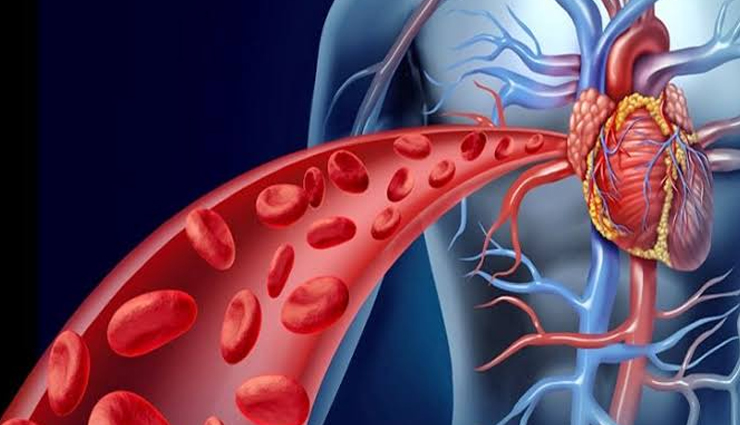 roasted gram,health benefits of roasted gram,Health tips,fitness tips