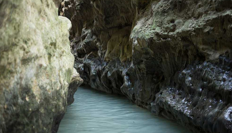 खूबसूरत वादियों के लिए जाना जाता है देहरादून, जरूर करें यहां इन 8 जगहों की सैर dehradun travel attractions,best places to visit in dehradun,top tourist spots in uttarakhand,must-see places in dehradun,famous destinations in uttarakhand,dehradun sightseeing guide,exploring dehradun attractions,uttarakhand travel recommendations,discovering tourist spots in dehradun,dehradun tourism highlights,dehradun tourist places,things to do in dehradun,best places to visit in dehradun,dehradun sightseeing,dehradun travel guide,dehradun attractions,dehradun hill stations,dehradun famous landmarks,dehradun weekend getaways,dehradun trekking spots