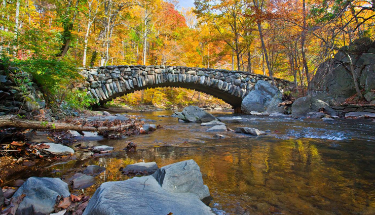 biggest city parks in the united states,largest urban parks in the usa,top american city parks,expansive parks in us cities,urban green spaces in the united states,largest municipal parks in america,iconic city parks in the usa,recreational parks in american cities,urban natural retreats in the us,exploring city parks across america