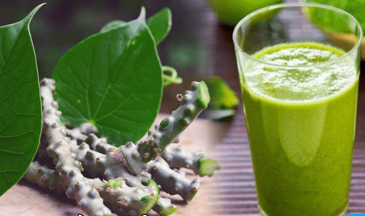 the fear of corona started troubling again increase your immunity in this way,Health,healthy living