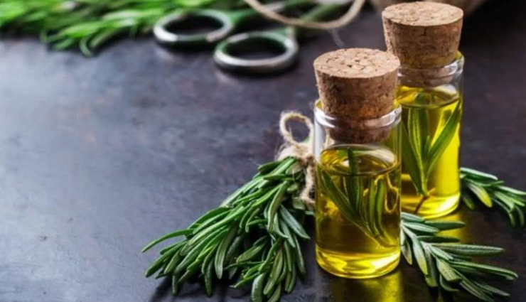 beauty tips,beauty tips in hindi,hair care tips