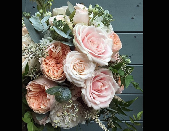 5 Flowers To Grow At Your Home To Get Romantic Ambience