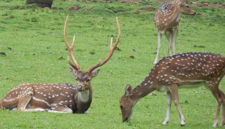 romantic places,romantic places in delhi,delhi,india,buddha garden,deer park,japanese park,delhi eye,garden of five senses