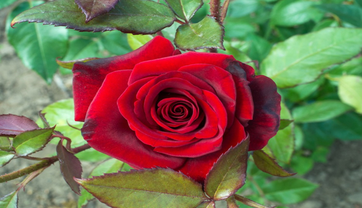 diy lip balm for winter care,homemade winter lip balm recipe,lip balm making for winter,winter care lip balm at home,diy lip moisturizer for winter,natural lip balm for winter care,winter lip balm making guide,homemade lip care for winter,lip balm recipe for cold weather,diy hydrating lip balm for winter,homemade winter lip care remedy,diy lip balm for dry winters,lip balm crafting for winter care,winter lip care homemade solution,diy winter lip treatment balm,nourishing lip balm for winter,winter lip balm crafting tips,diy lip protection for winter,homemade balm for winter lip care,hydrating lip balm diy for winters