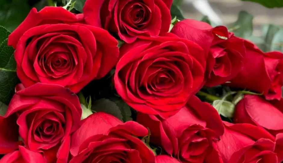 रोज पेड़ा : घर का हर सदस्य इस पर प्यार लुटाएगा बेशुमार, त्योहार की रंगत बढ़ा देती है यह मिठाई #Recipe rose peda,rose peda sweet dish,rose peda festival,rose peda special occasion,rose peda market,rose peda home,rose peda family