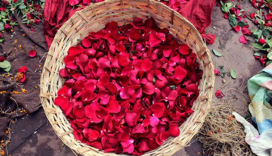 rose kulfi,rose kulfi tasty,rose kulfi delicious,rose kulfi ingredients,rose kulfi recipe,rose kulfi healthy,rose kulfi summer,rose kulfi cold