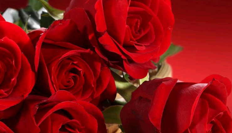 5 Uses Of Rose Flower You Were Un-aware About