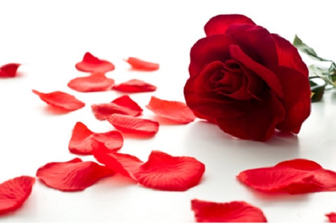 valentines special,valentines special 2018,rose day special,home remedies to get instant glowing skin,slowing skin tips,skin care tips,beauty tips